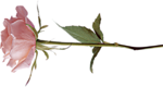 0_86fd9_76437621_S (150x80, 15Kb)